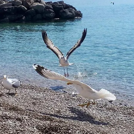 Didi With Private Garden, Close To The Krk Center